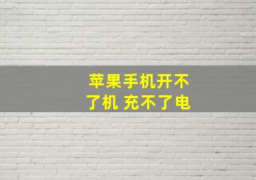 苹果手机开不了机 充不了电